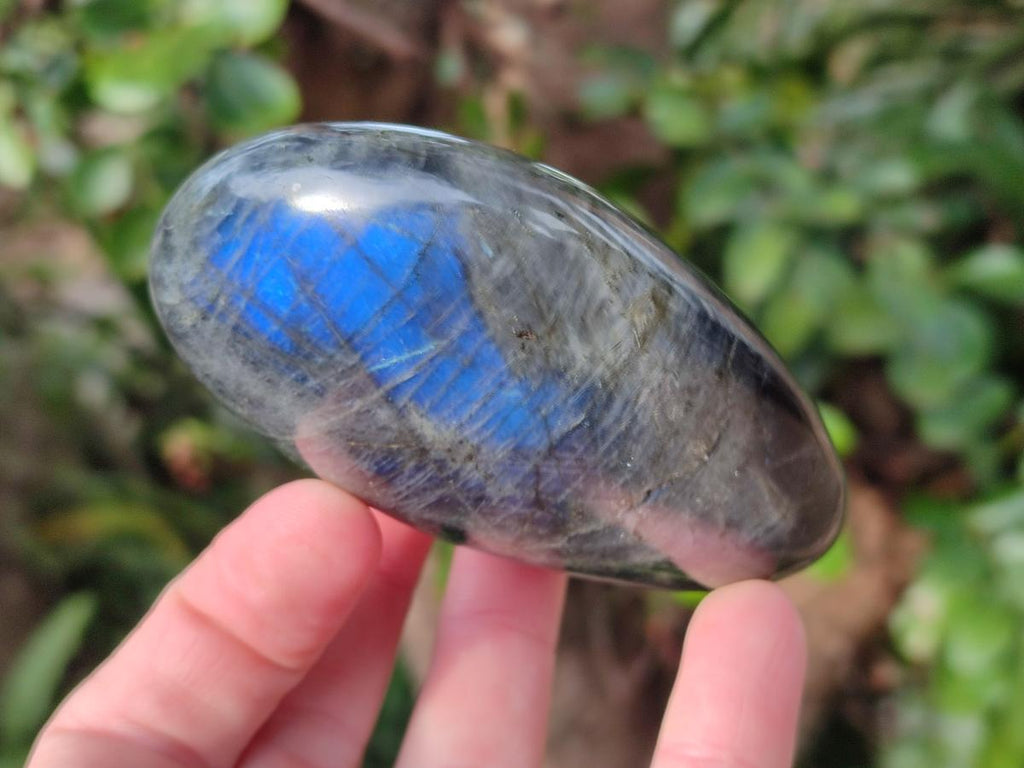 Polished Mixed Multi Mineral Galets x 12 From Madagascar - Toprock Gemstones and Minerals 