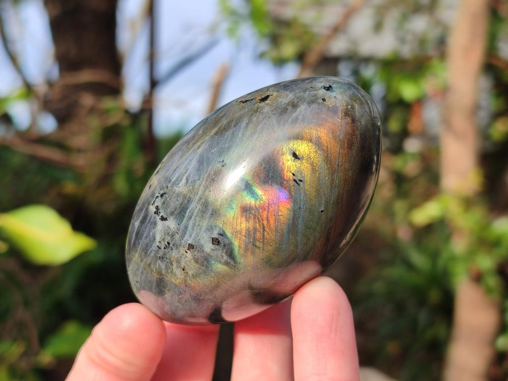 Polished Mixed Multi Mineral Galets x 12 From Madagascar - Toprock Gemstones and Minerals 