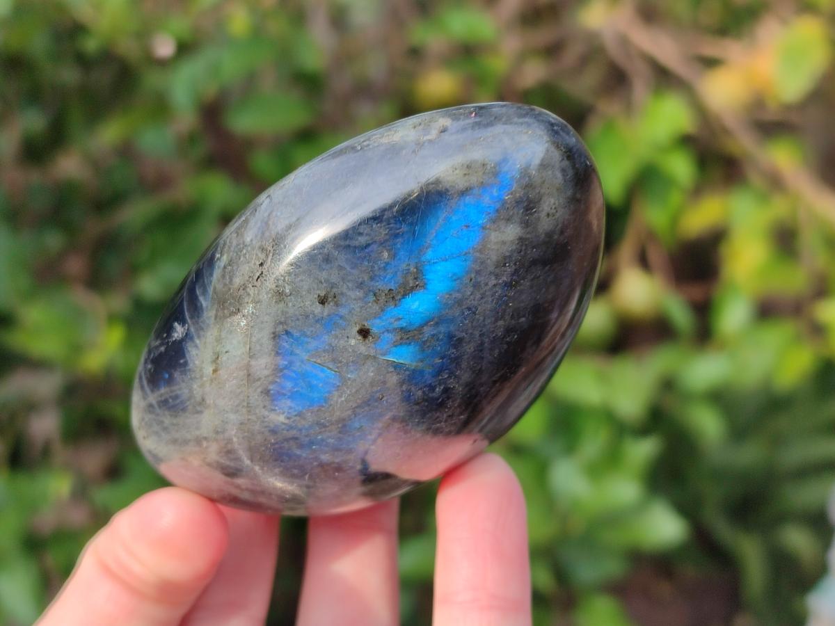 Polished Mixed Multi Mineral Galets x 12 From Madagascar - Toprock Gemstones and Minerals 