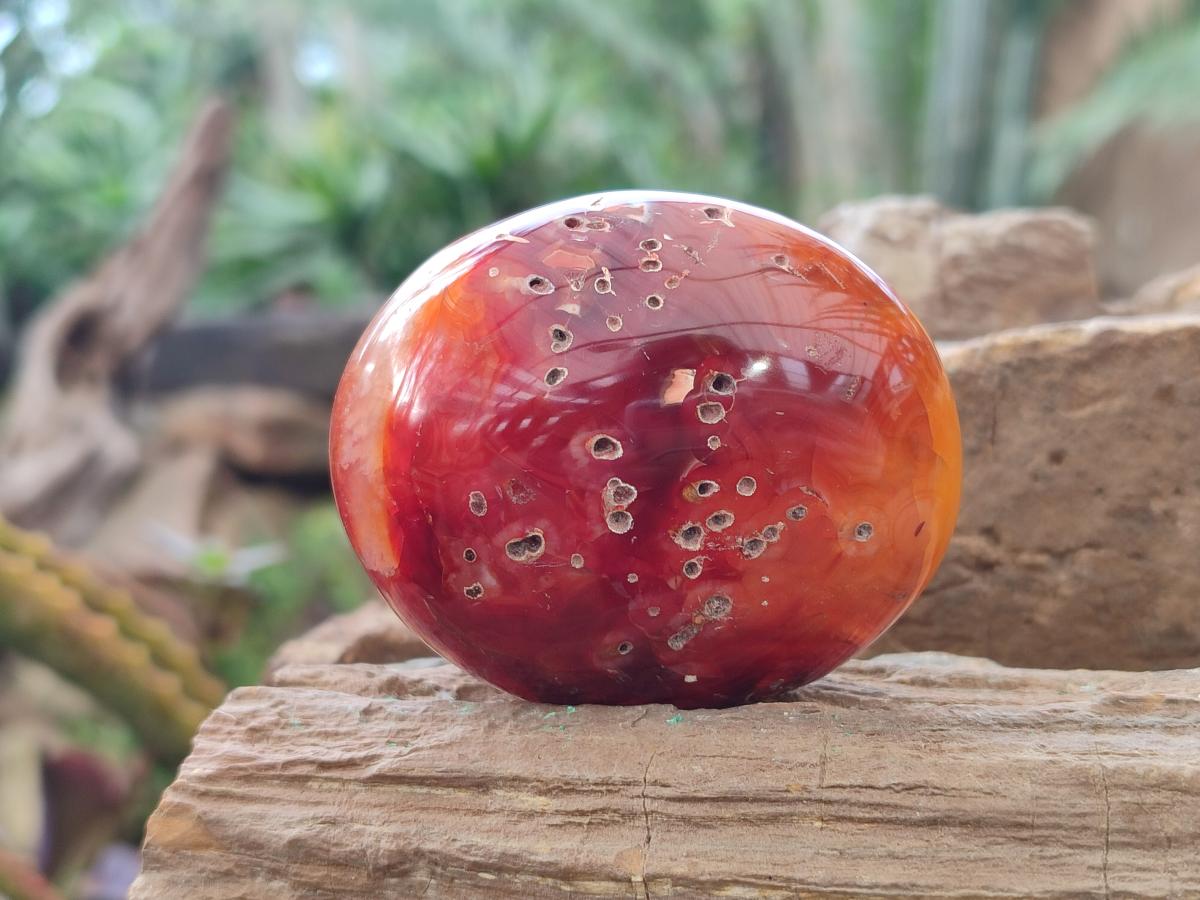 Polished Mixed Multi Mineral Galets x 12 From Madagascar - Toprock Gemstones and Minerals 