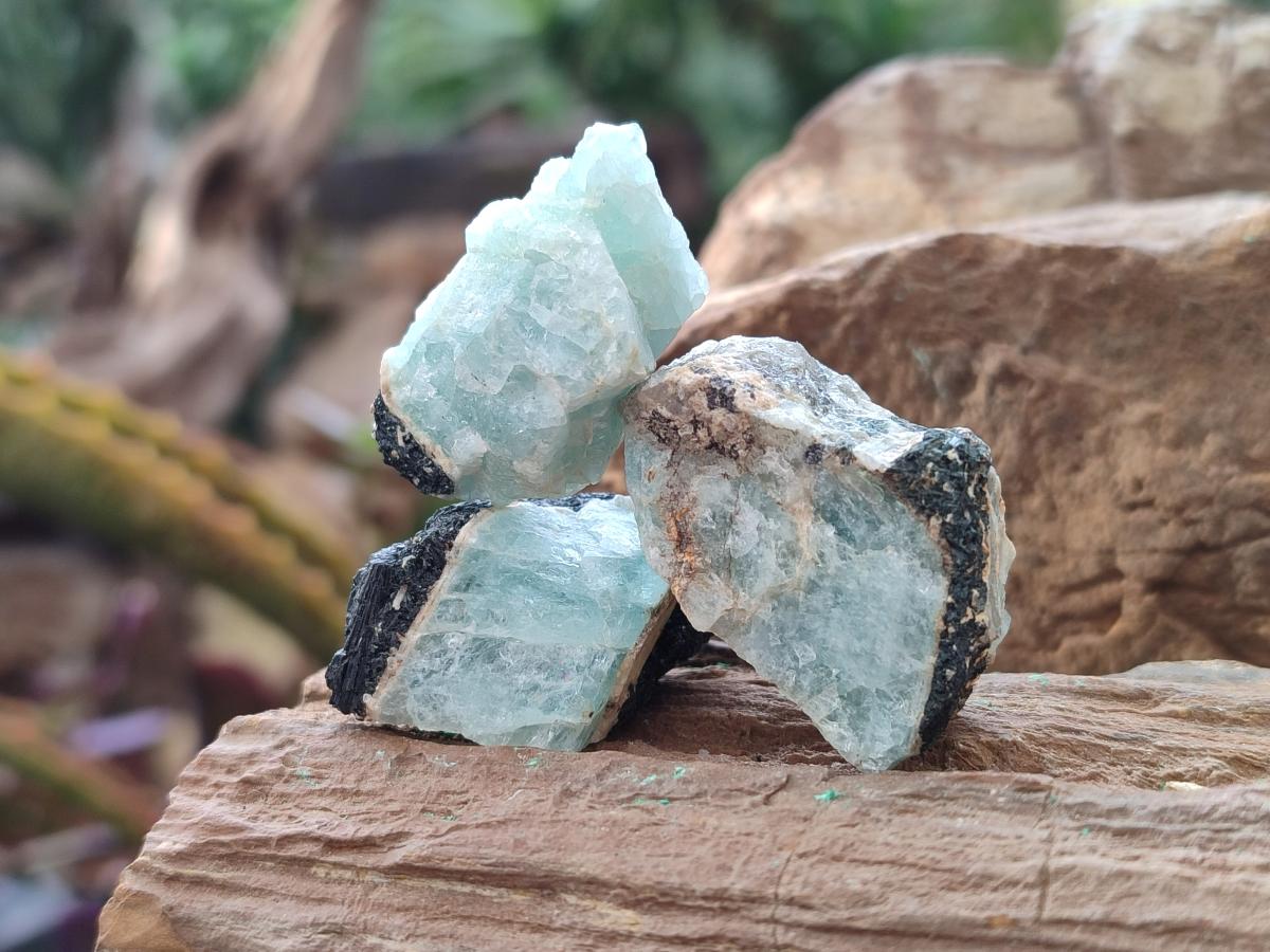 Natural Rare Aquamarine in Black Tourmaline Specimens x 70 From Karibib, Namibia - Toprock Gemstones and Minerals 