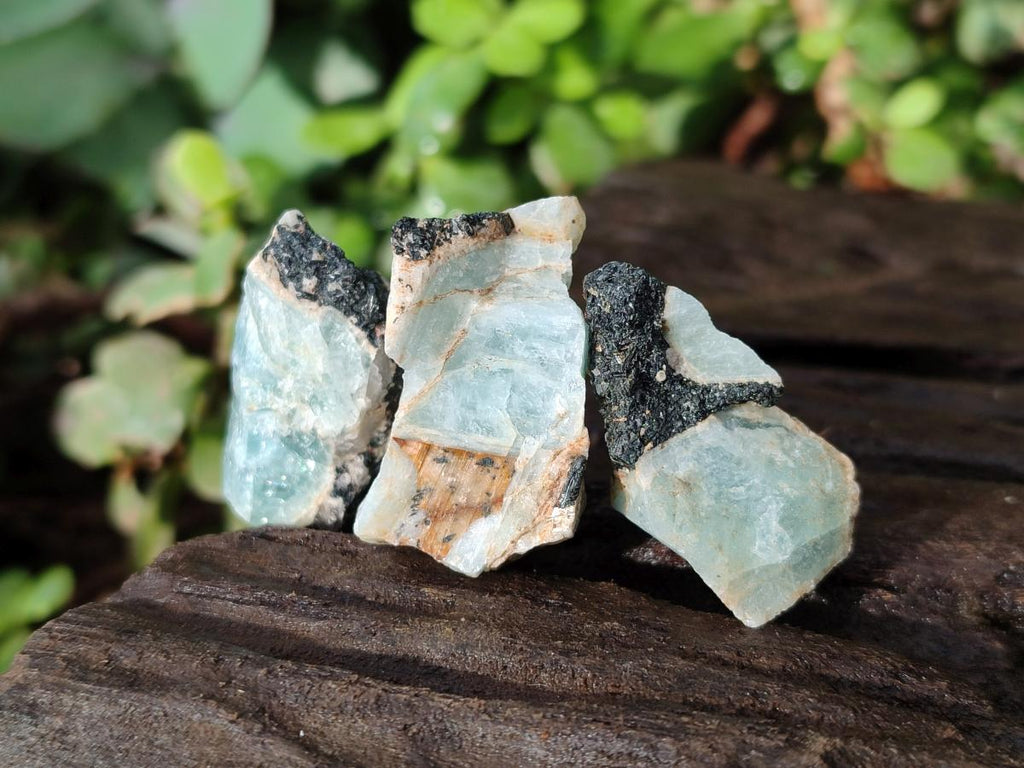 Natural Rare Aquamarine in Black Tourmaline Specimens x 70 From Karibib, Namibia - Toprock Gemstones and Minerals 