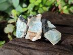 Natural Rare Aquamarine in Black Tourmaline Specimens x 70 From Karibib, Namibia - Toprock Gemstones and Minerals 