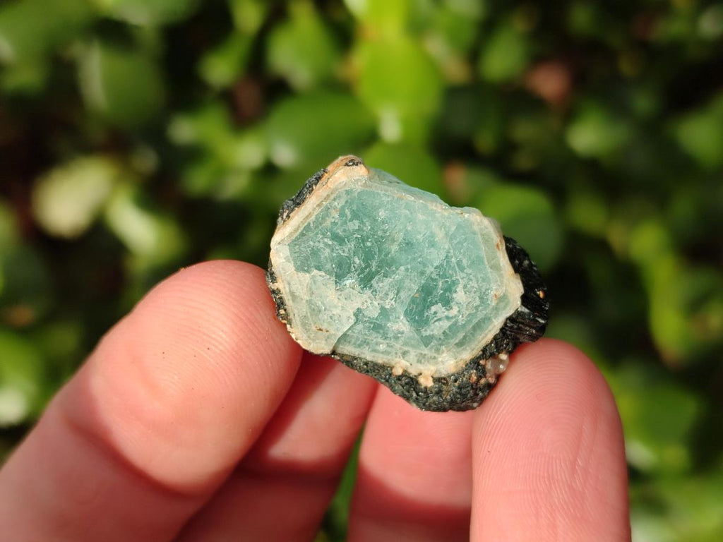 Natural Rare Aquamarine in Black Tourmaline Specimens x 70 From Karibib, Namibia - Toprock Gemstones and Minerals 