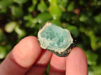 Natural Rare Aquamarine in Black Tourmaline Specimens x 70 From Karibib, Namibia - Toprock Gemstones and Minerals 