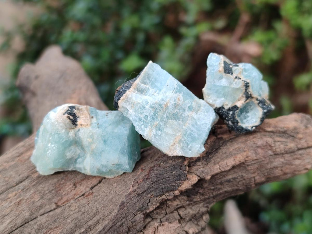 Natural Rare Aquamarine in Black Tourmaline Specimens x 70 From Karibib, Namibia - Toprock Gemstones and Minerals 