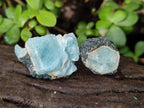 Natural Rare Aquamarine in Black Tourmaline Specimens x 70 From Karibib, Namibia - Toprock Gemstones and Minerals 