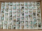 Natural Rare Aquamarine in Black Tourmaline Specimens x 70 From Karibib, Namibia - Toprock Gemstones and Minerals 