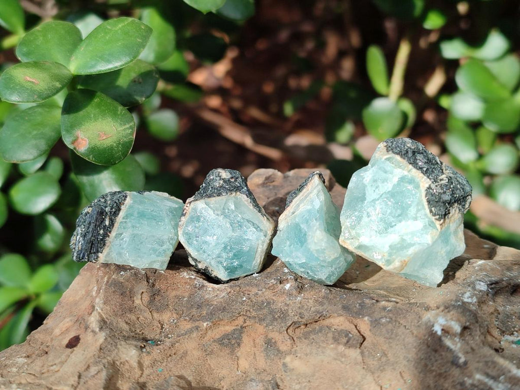 Natural Rare Aquamarine in Black Tourmaline Specimens x 70 From Karibib, Namibia - Toprock Gemstones and Minerals 
