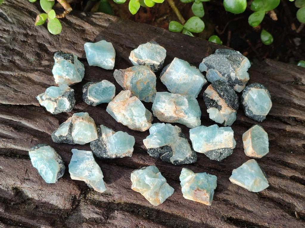 Natural Rare Aquamarine in Black Tourmaline Specimens x 70 From Karibib, Namibia - Toprock Gemstones and Minerals 
