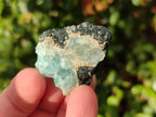 Natural Rare Aquamarine in Black Tourmaline Specimens x 70 From Karibib, Namibia - Toprock Gemstones and Minerals 