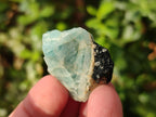Natural Rare Aquamarine in Black Tourmaline Specimens x 70 From Karibib, Namibia - Toprock Gemstones and Minerals 