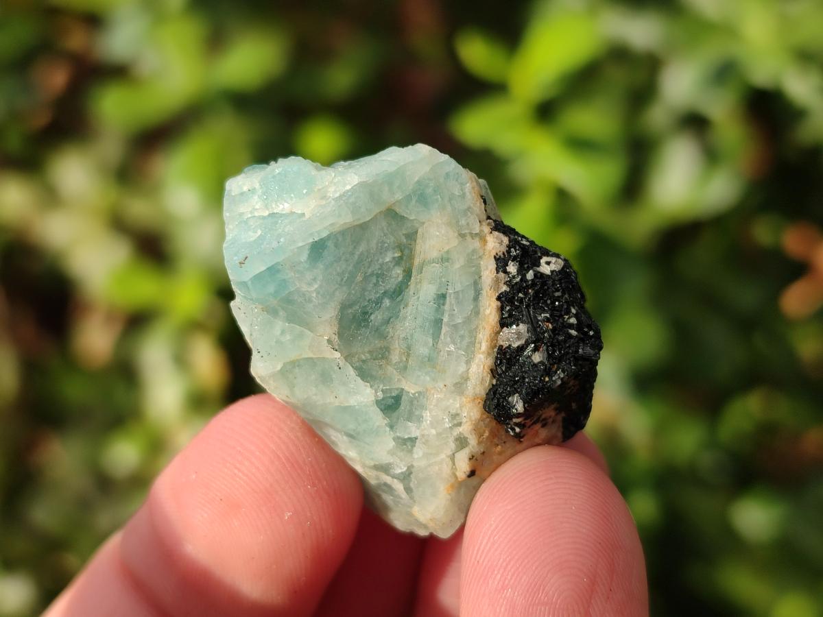 Natural Rare Aquamarine in Black Tourmaline Specimens x 70 From Karibib, Namibia - Toprock Gemstones and Minerals 