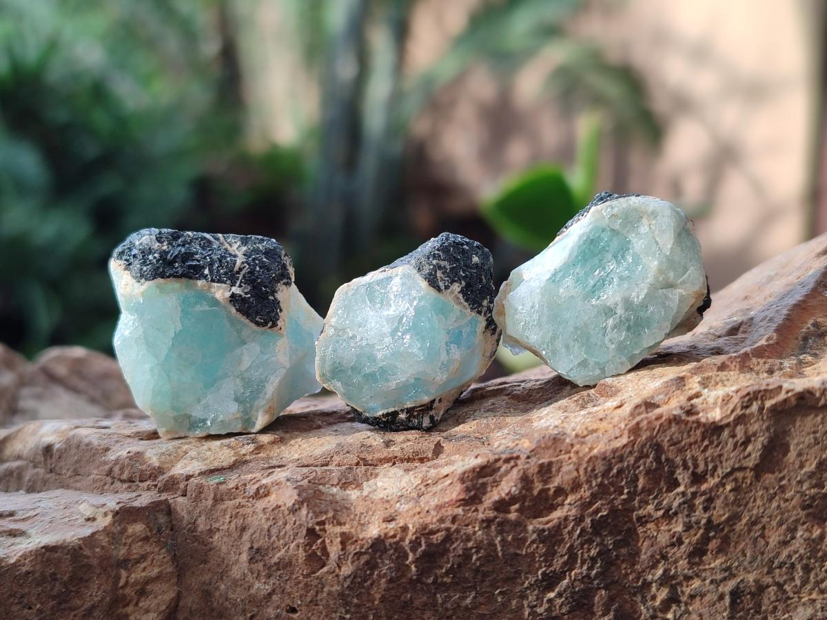 Natural Rare Aquamarine in Black Tourmaline Specimens x 70 From Karibib, Namibia - Toprock Gemstones and Minerals 