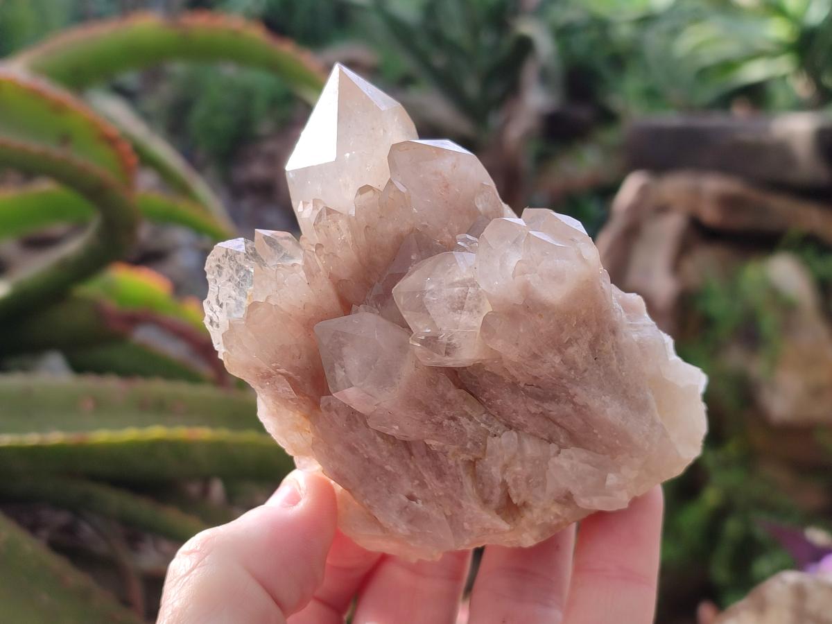 Natural Cascading White Phantom Smokey Luena Quartz Clusters x 6 From Luena, Congo - Toprock Gemstones and Minerals 