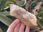 Natural Cascading White Phantom Smokey Luena Quartz Clusters x 6 From Luena, Congo - Toprock Gemstones and Minerals 