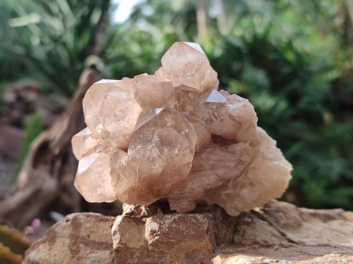 Natural Cascading White Phantom Smokey Luena Quartz Clusters x 6 From Luena, Congo - Toprock Gemstones and Minerals 