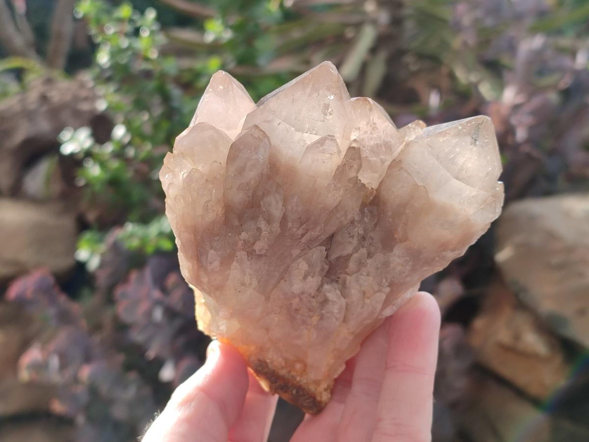 Natural Cascading White Phantom Smokey Luena Quartz Clusters x 6 From Luena, Congo - Toprock Gemstones and Minerals 