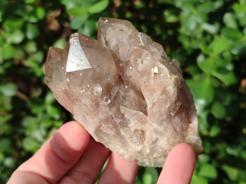 Natural Cascading White Phantom Smokey Luena Quartz Clusters x 6 From Luena, Congo - Toprock Gemstones and Minerals 