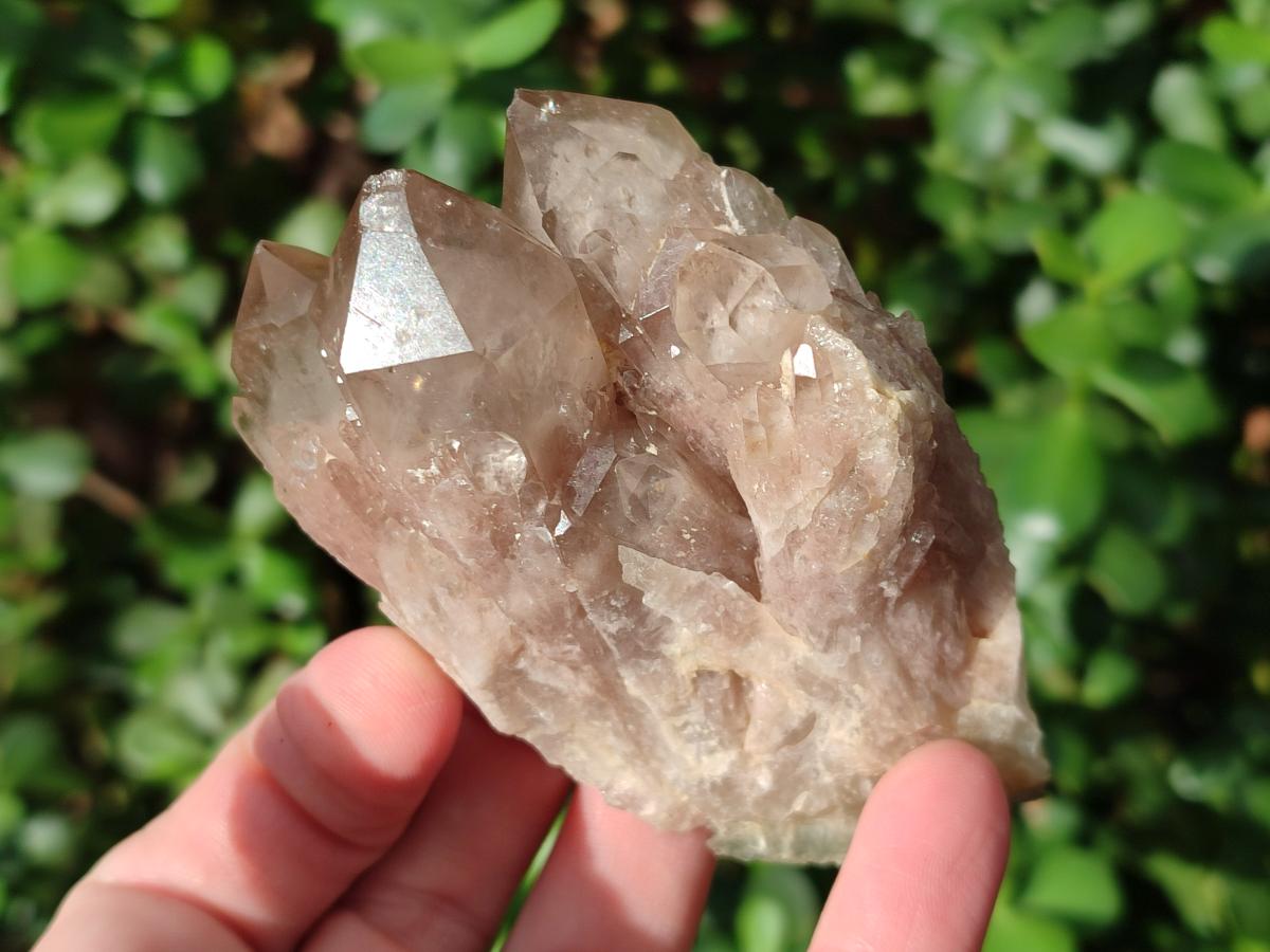 Natural Cascading White Phantom Smokey Luena Quartz Clusters x 6 From Luena, Congo - Toprock Gemstones and Minerals 