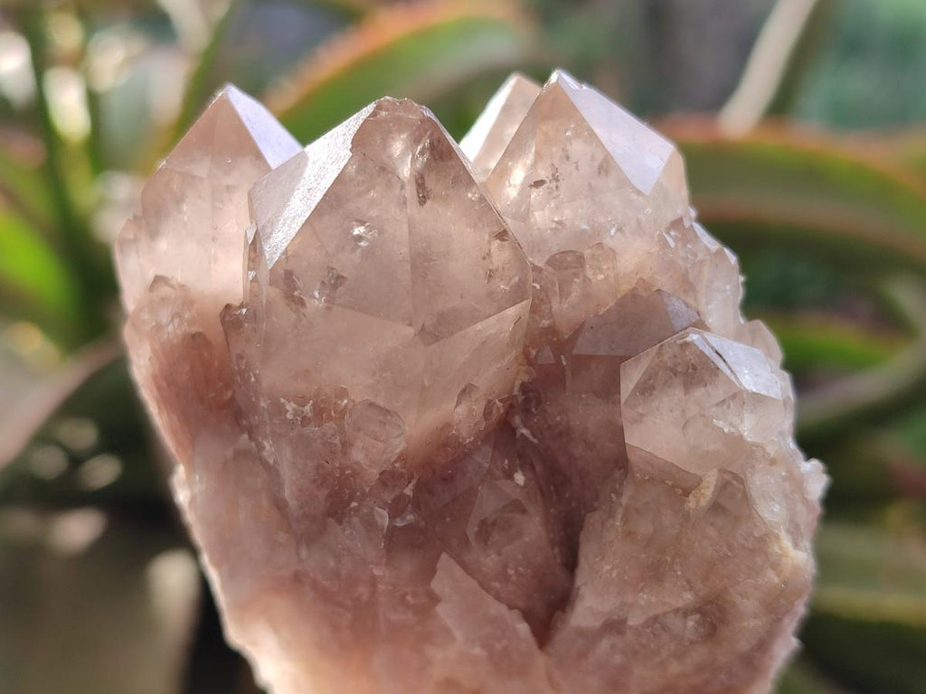 Natural Cascading White Phantom Smokey Luena Quartz Clusters x 6 From Luena, Congo - Toprock Gemstones and Minerals 