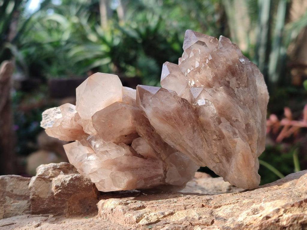 Natural Cascading White Phantom Smokey Luena Quartz Clusters x 6 From Luena, Congo - Toprock Gemstones and Minerals 