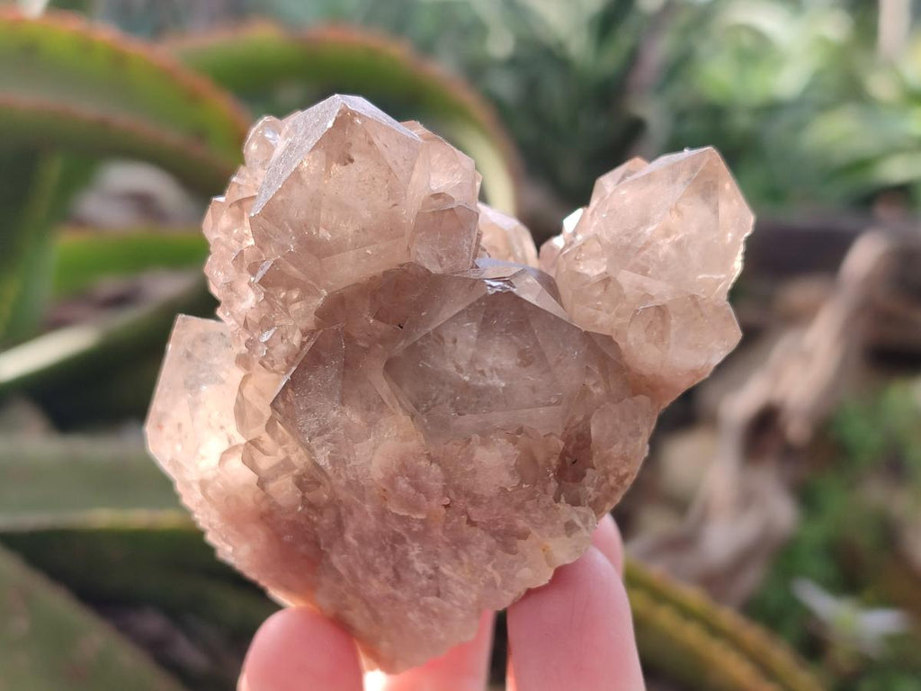 Natural Cascading White Phantom Smokey Luena Quartz Clusters x 6 From Luena, Congo - Toprock Gemstones and Minerals 