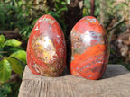 Polished Red Jasper Standing Display Pieces x 4 From Madagascar - Toprock Gemstones and Minerals 