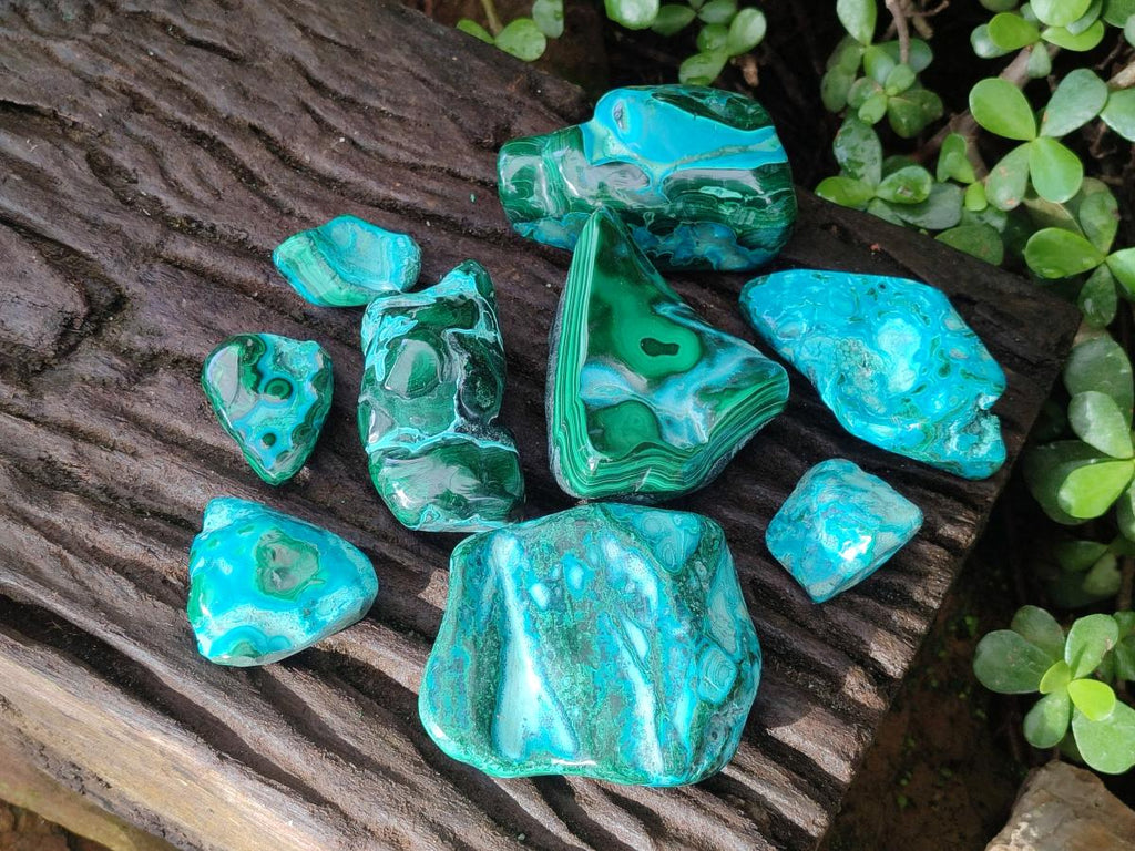 Polished Malacolla Free Forms x 9 From Kulukuluku, Congo - Toprock Gemstones and Minerals 