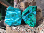 Polished Malacolla Free Forms x 9 From Kulukuluku, Congo - Toprock Gemstones and Minerals 