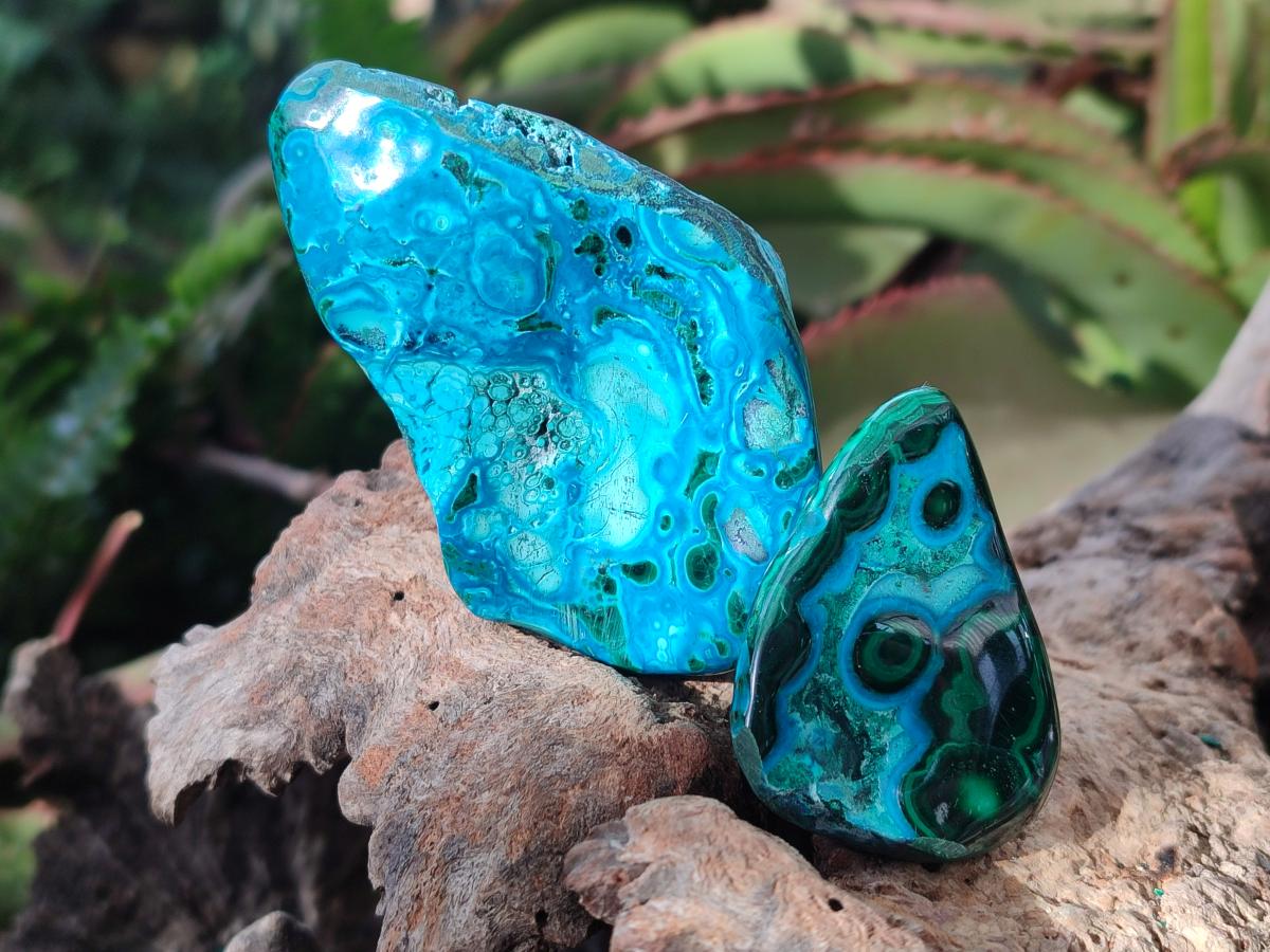 Polished Malacolla Free Forms x 9 From Kulukuluku, Congo - Toprock Gemstones and Minerals 