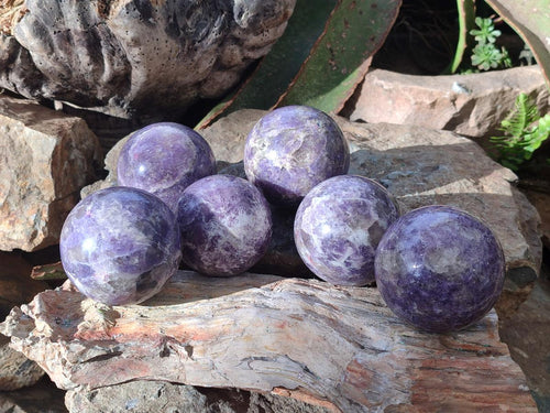 Polished Lepidolite with Pink Rubellite Spheres x 6 From Ambatondrazaka, Madagascar - Toprock Gemstones and Minerals 