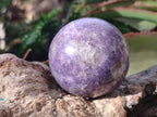 Polished Lepidolite with Pink Rubellite Spheres x 6 From Ambatondrazaka, Madagascar - Toprock Gemstones and Minerals 