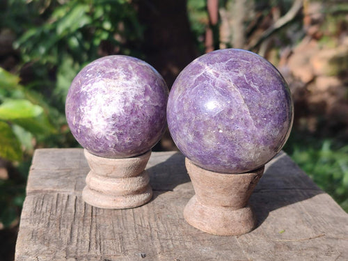 Polished Lepidolite with Pink Rubellite Spheres x 6 From Ambatondrazaka, Madagascar - Toprock Gemstones and Minerals 