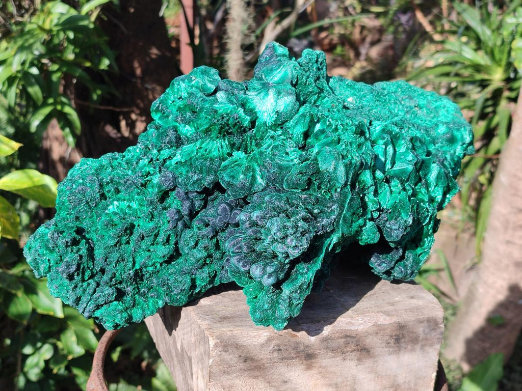 Natural XL Silky Malachite Specimen x 1 From Kasompe, Congo - Toprock Gemstones and Minerals 