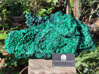 Natural XL Silky Malachite Specimen x 1 From Kasompe, Congo - Toprock Gemstones and Minerals 