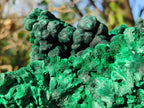 Natural XL Silky Malachite Specimen x 1 From Kasompe, Congo - Toprock Gemstones and Minerals 