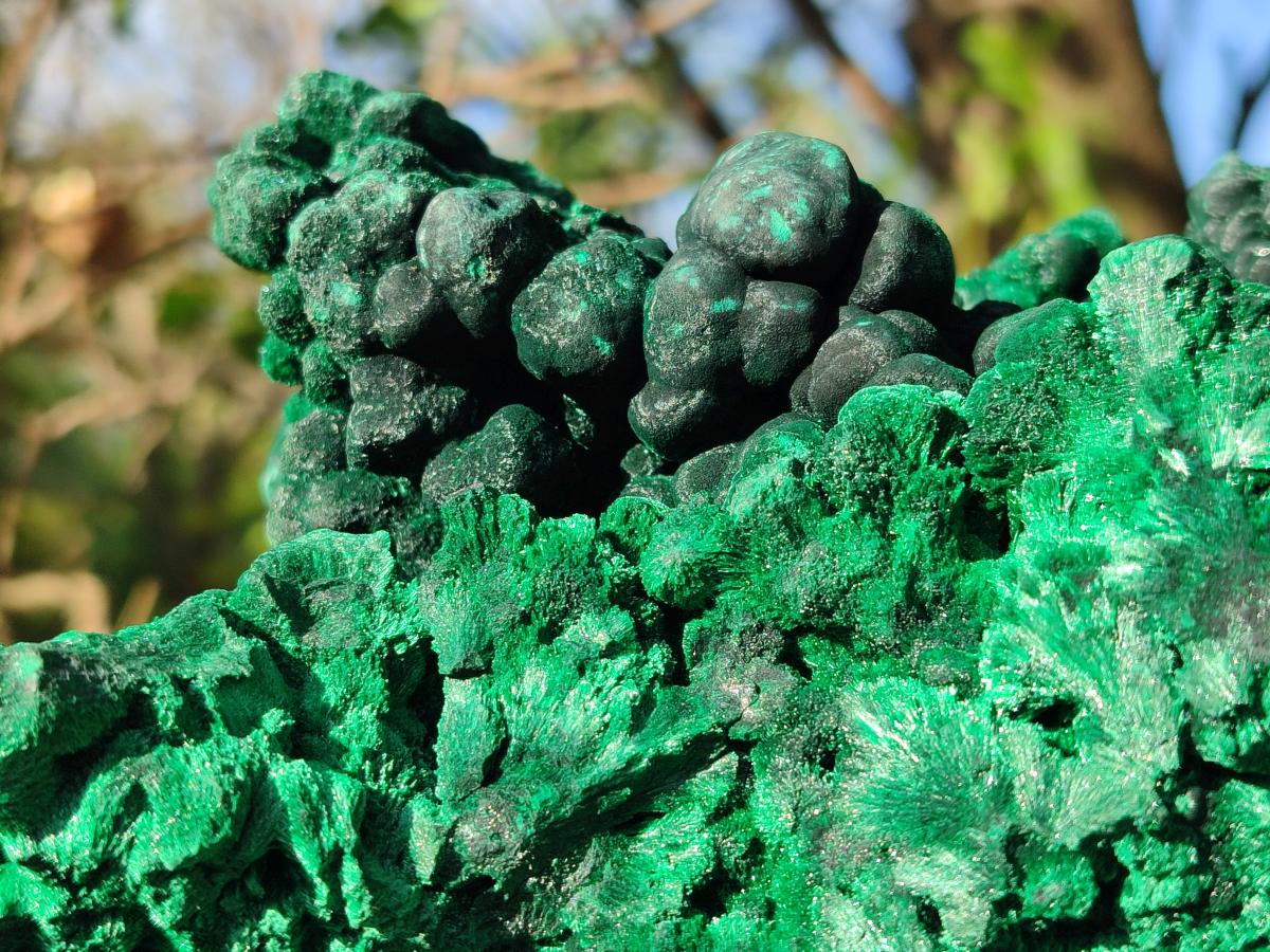 Natural XL Silky Malachite Specimen x 1 From Kasompe, Congo - Toprock Gemstones and Minerals 