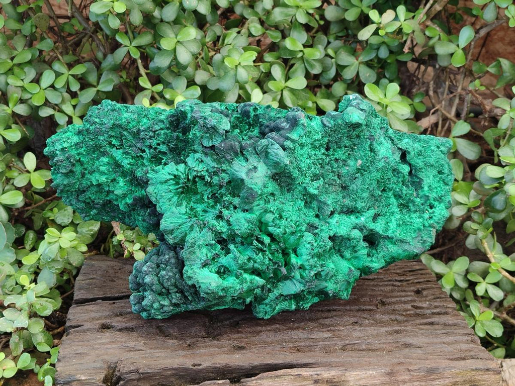 Natural XL Silky Malachite Specimen x 1 From Kasompe, Congo - Toprock Gemstones and Minerals 