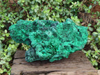 Natural XL Silky Malachite Specimen x 1 From Kasompe, Congo - Toprock Gemstones and Minerals 