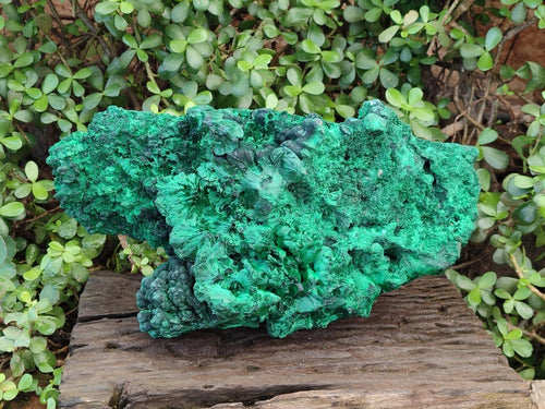 Natural XL Silky Malachite Specimen x 1 From Kasompe, Congo - Toprock Gemstones and Minerals 