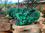 Natural XL Silky Malachite Specimen x 1 From Kasompe, Congo - Toprock Gemstones and Minerals 