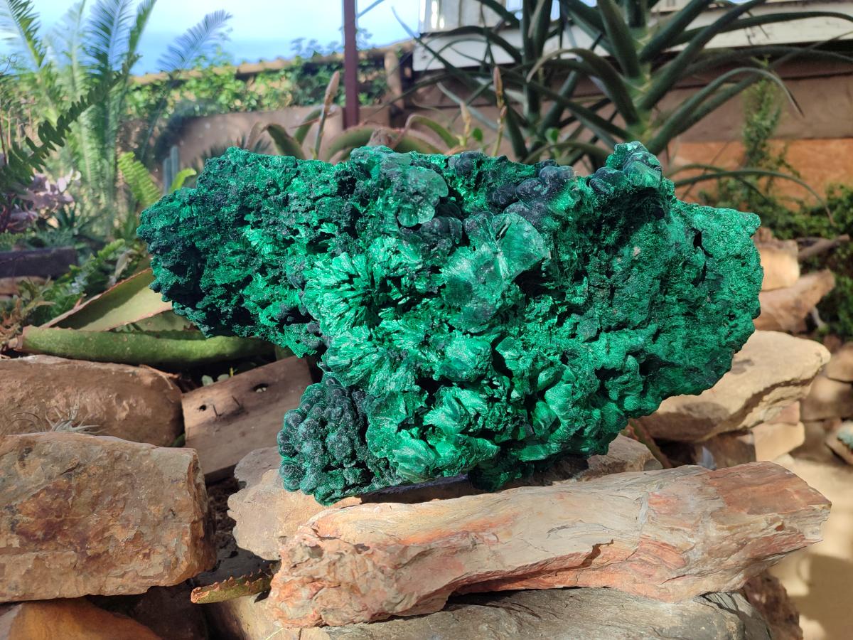 Natural XL Silky Malachite Specimen x 1 From Kasompe, Congo - Toprock Gemstones and Minerals 