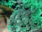Natural XL Silky Malachite Specimen x 1 From Kasompe, Congo - Toprock Gemstones and Minerals 