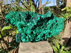 Natural XL Silky Malachite Specimen x 1 From Kasompe, Congo - Toprock Gemstones and Minerals 