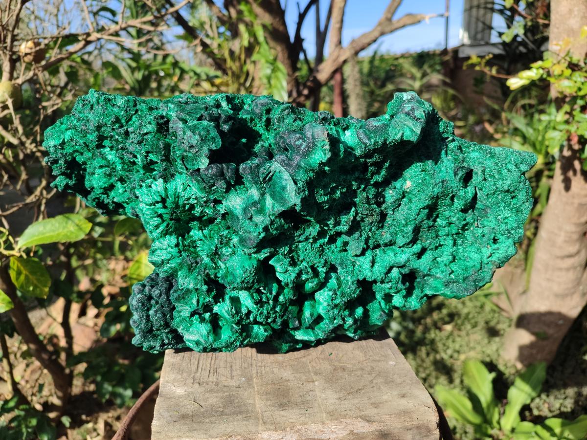Natural XL Silky Malachite Specimen x 1 From Kasompe, Congo - Toprock Gemstones and Minerals 