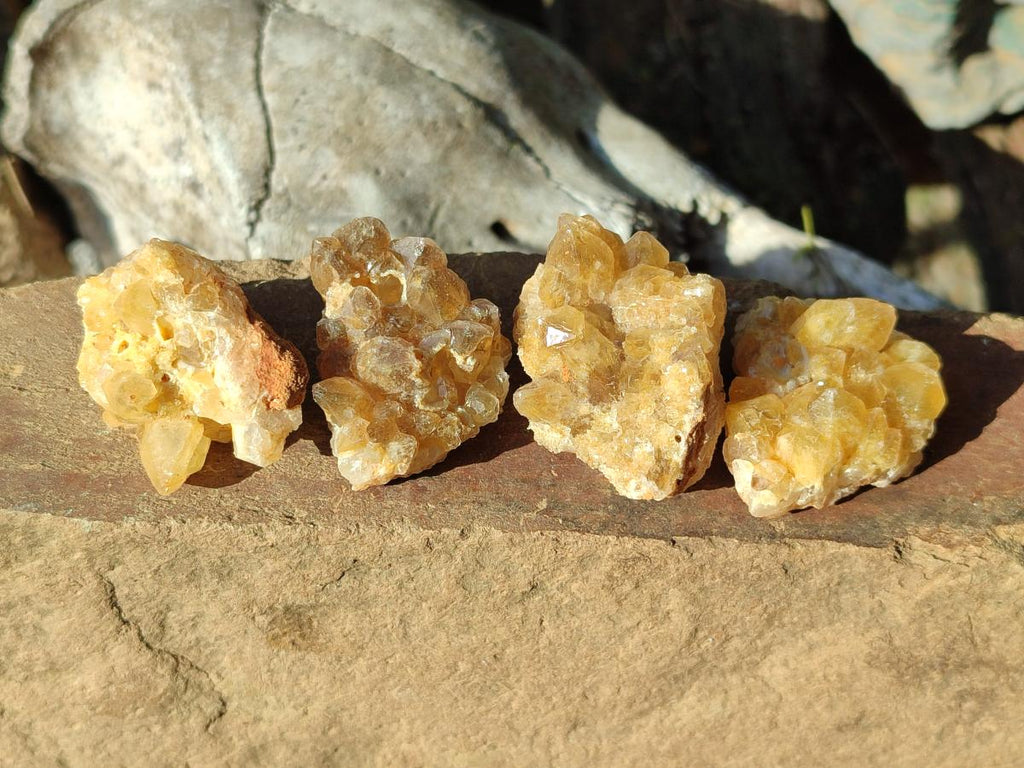 Natural Mini Golden Limonite Quartz Crystal Cluster Plate x 70 From Solwezi, Zambia - Toprock Gemstones and Minerals 
