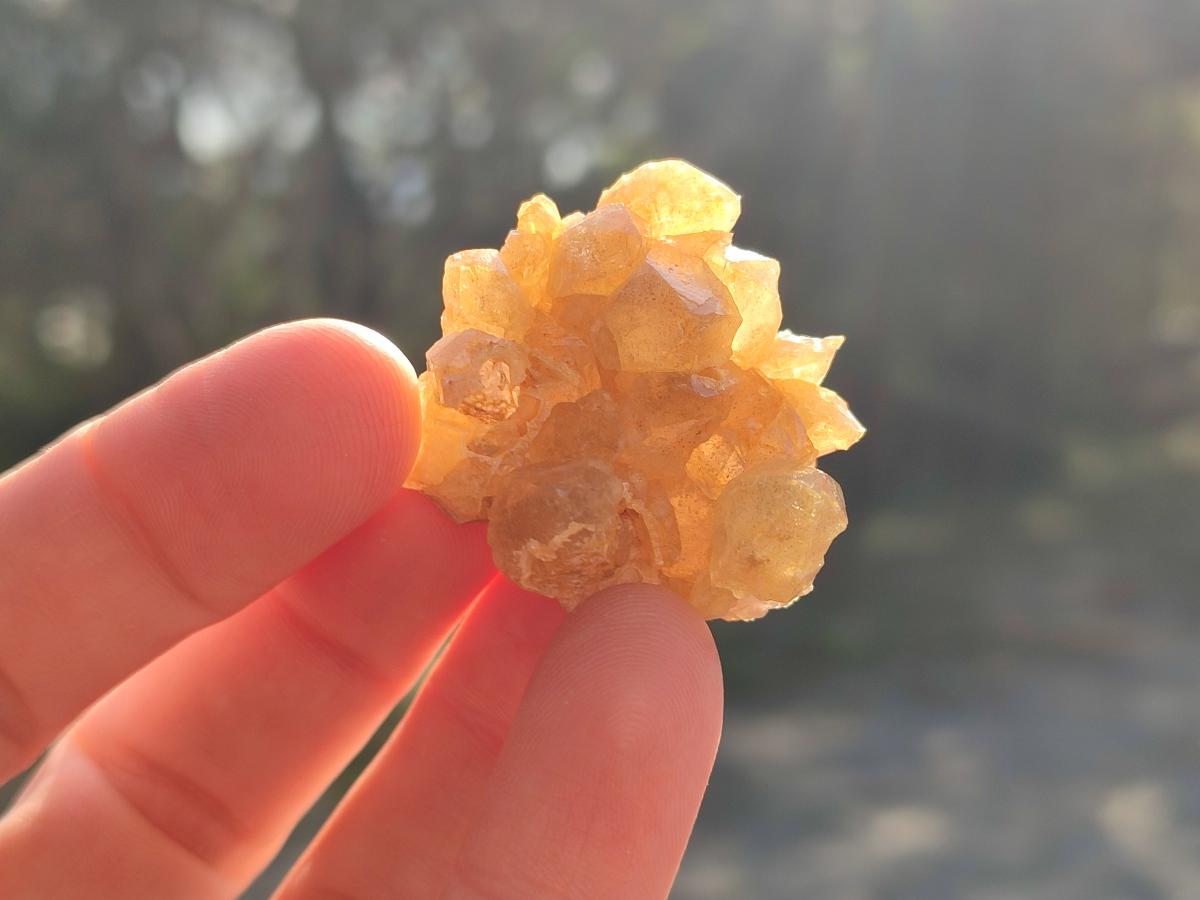 Natural Mini Golden Limonite Quartz Crystal Cluster Plate x 70 From Solwezi, Zambia - Toprock Gemstones and Minerals 