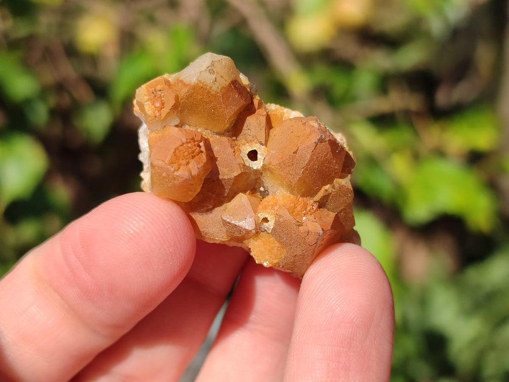 Natural Mini Golden Limonite Quartz Crystal Cluster Plate x 70 From Solwezi, Zambia - Toprock Gemstones and Minerals 
