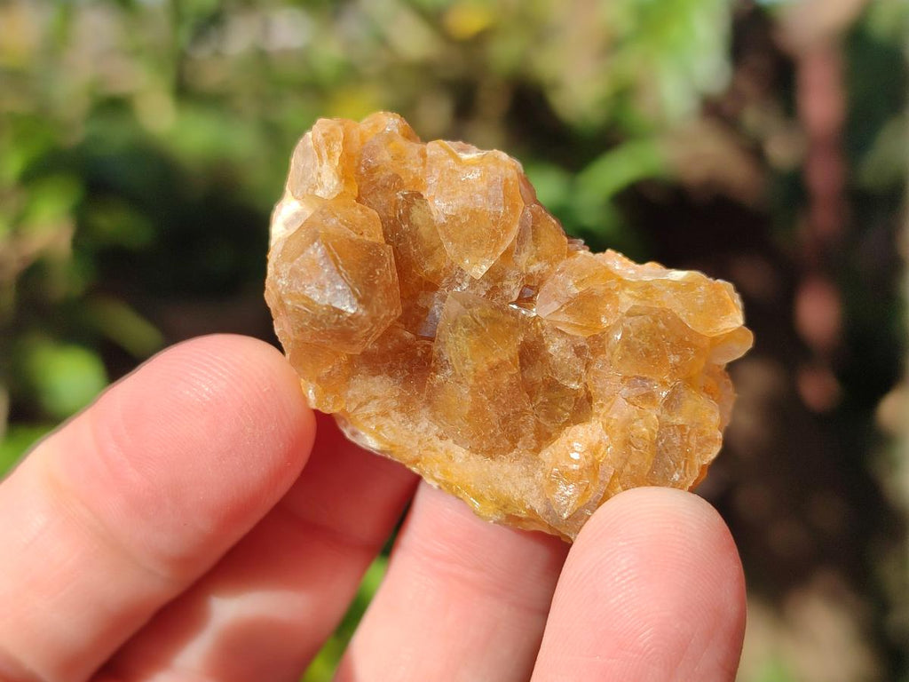 Natural Mini Golden Limonite Quartz Crystal Cluster Plate x 70 From Solwezi, Zambia - Toprock Gemstones and Minerals 
